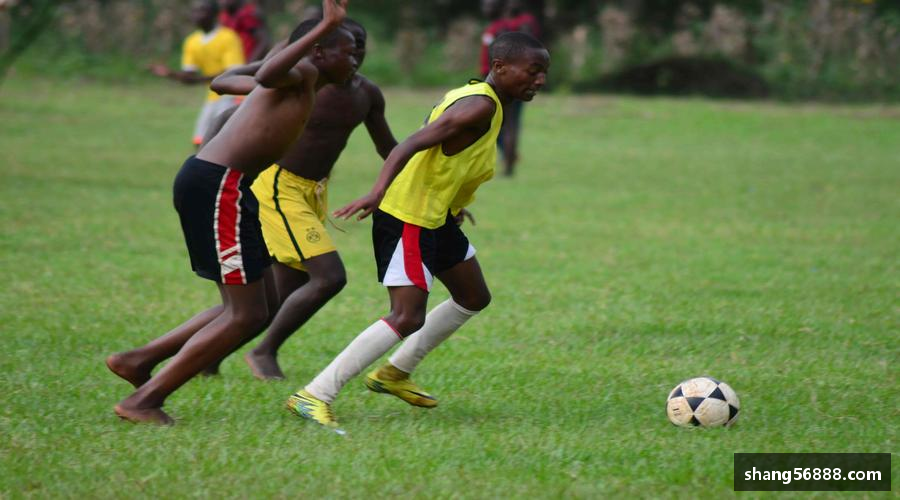 blb百乐博-非凡想象激情时刻，不容错过！🌟⚾